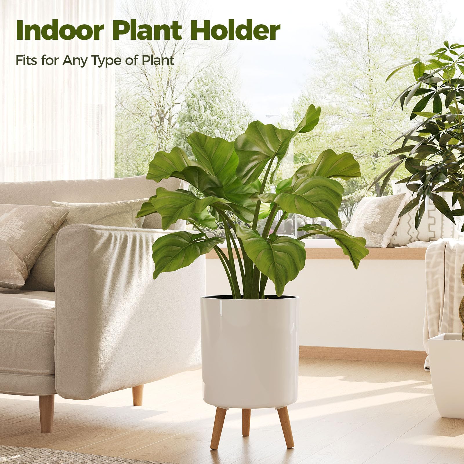 Bamworld three sizes side-by-side for easy plant size selection