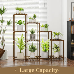 Bamworld tall shelf clearance demonstrating space for taller plants benefit