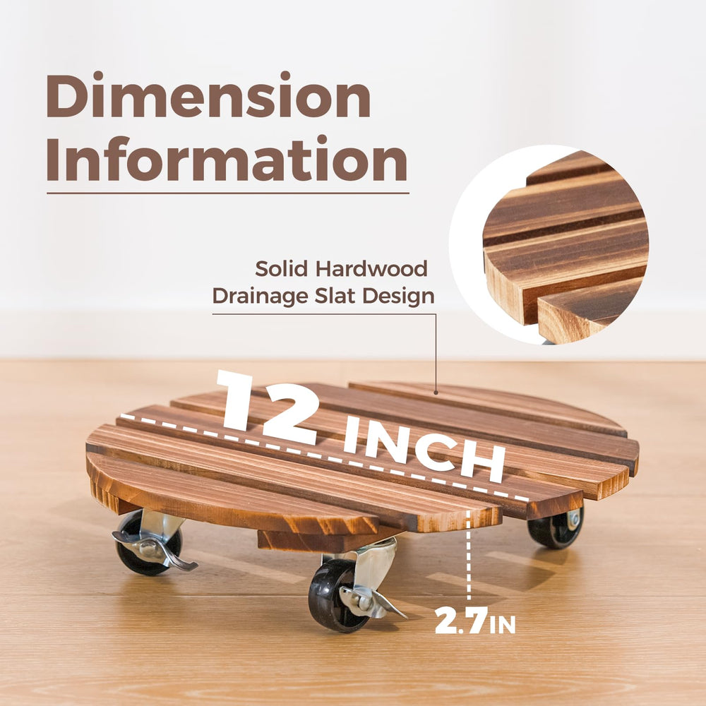 Bamworld top-down shot showing 12-inch diameter for versatile planter fit