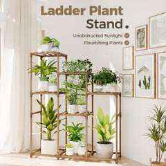 Bamworld top shelf clearance showing 24.8 inch height for taller plants benefit
