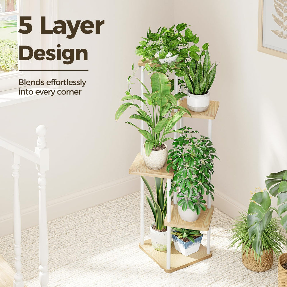 Bamworld stand holding succulents showing space-saving display benefit