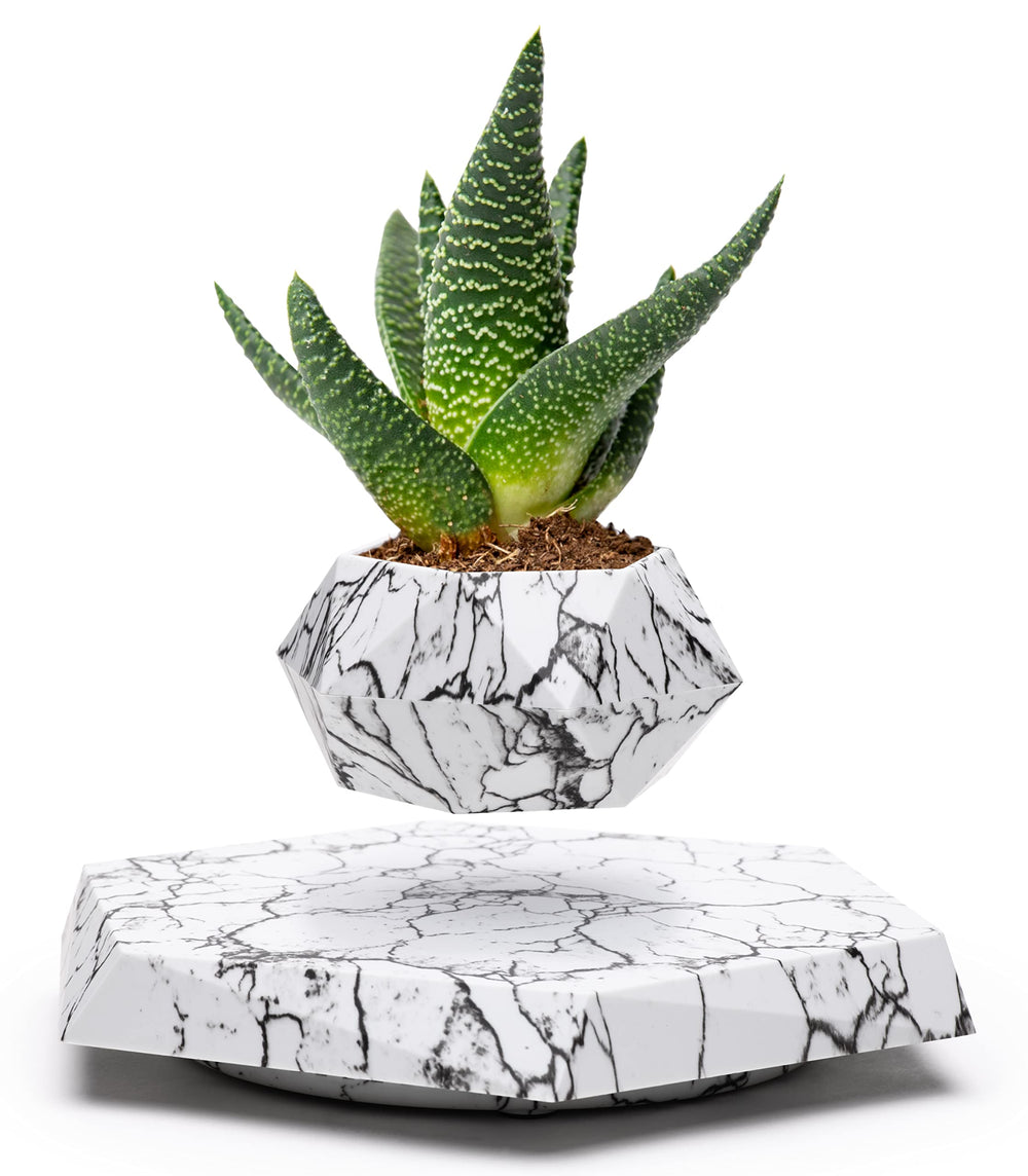 BandD levitating marble pot front view showcasing elegant floating display