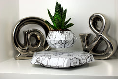 BandD pot in use with succulent demonstrating compact decorative impact