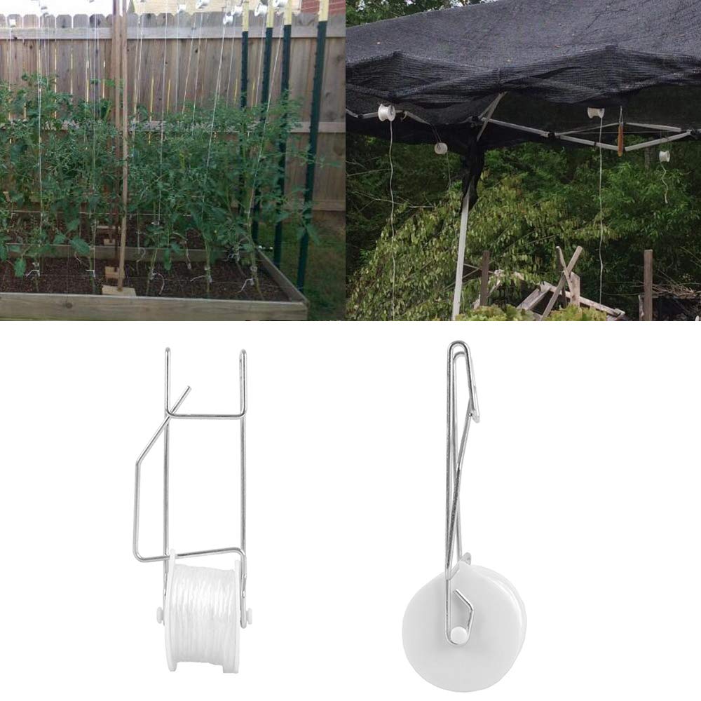 Bandelt trellis hook supporting a tomato plant, simplifying pruning and harvesting