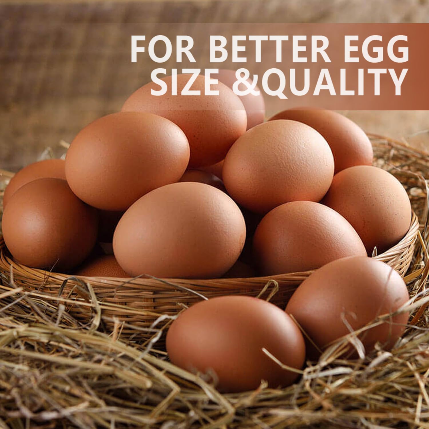 BANGION portion comparison with measuring scoop for easy serving sizes