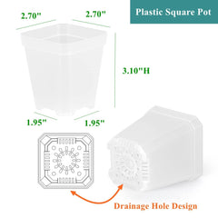 BangQiao close-up of drainage hole showing soil retention and improved moisture control