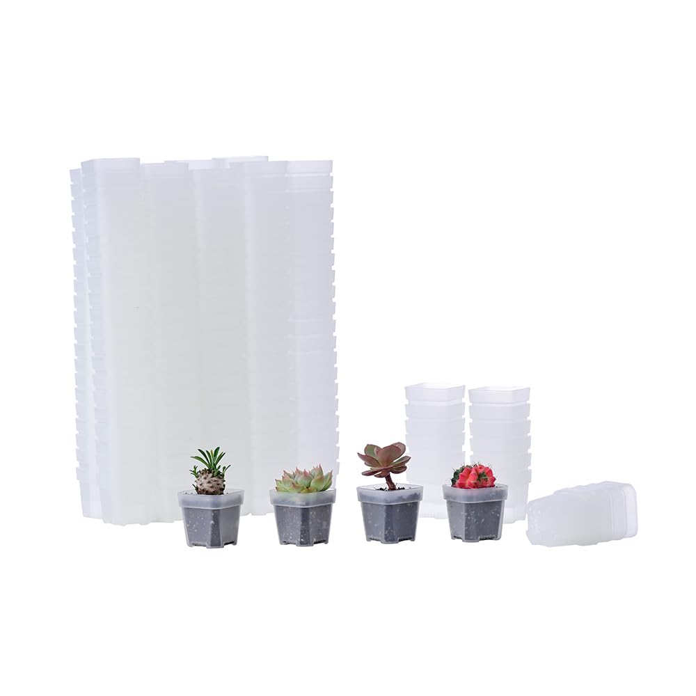 BangQiao front view of clear square nursery pots showing compact stackability and organization benefit