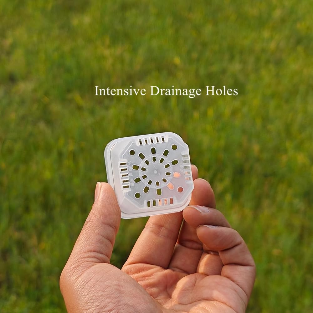 BangQiao clear side showing visible root development for easy monitoring without disruption