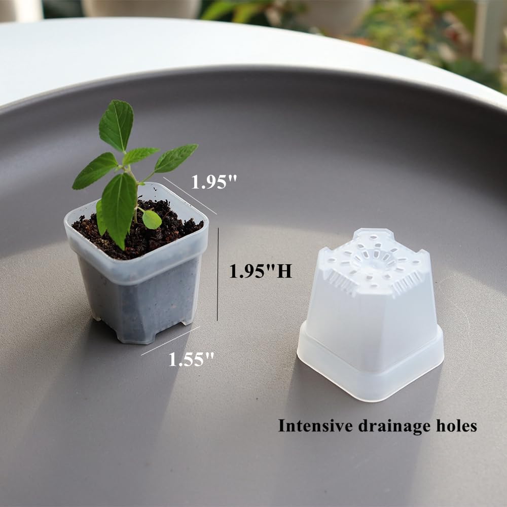 BangQiao side profile displaying pot dimensions for quick scale and fit assessment