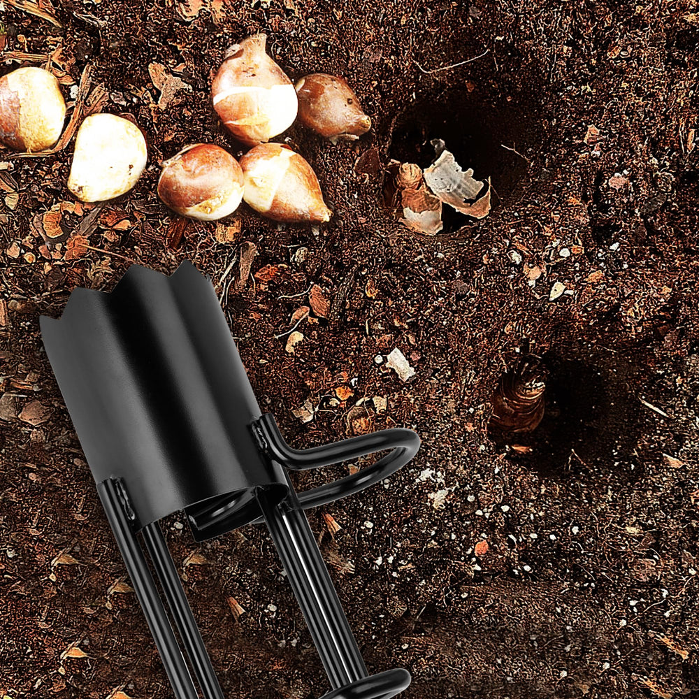 BARAYSTUS soil plug removed cleanly demonstrating fast extraction