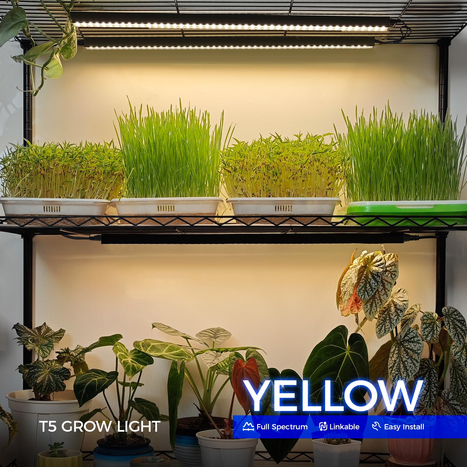 Barrina close-up of LED chips showing full-spectrum emitters for balanced plant growth