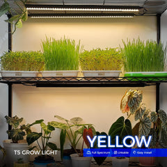 Barrina close-up of LED chips showing full-spectrum emitters for balanced plant growth