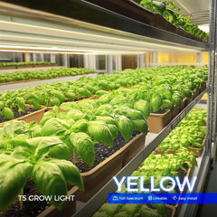 Barrina close-up of dense LED array delivering high-intensity plant light