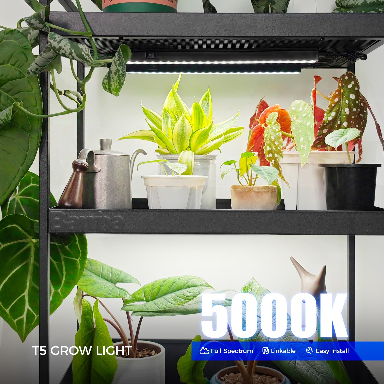 Close-up of Barrina LED array reveals densely packed diodes for high usable plant light