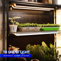 Barrina close-up of LED array highlighting dense chips for strong plant light