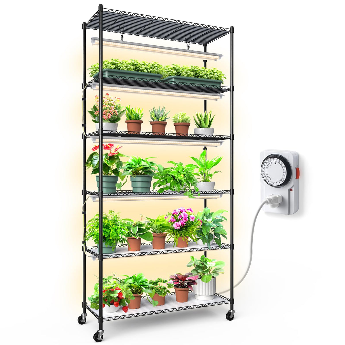 Barrina CX6 front view showing six tiers and compact footprint for vertical gardening