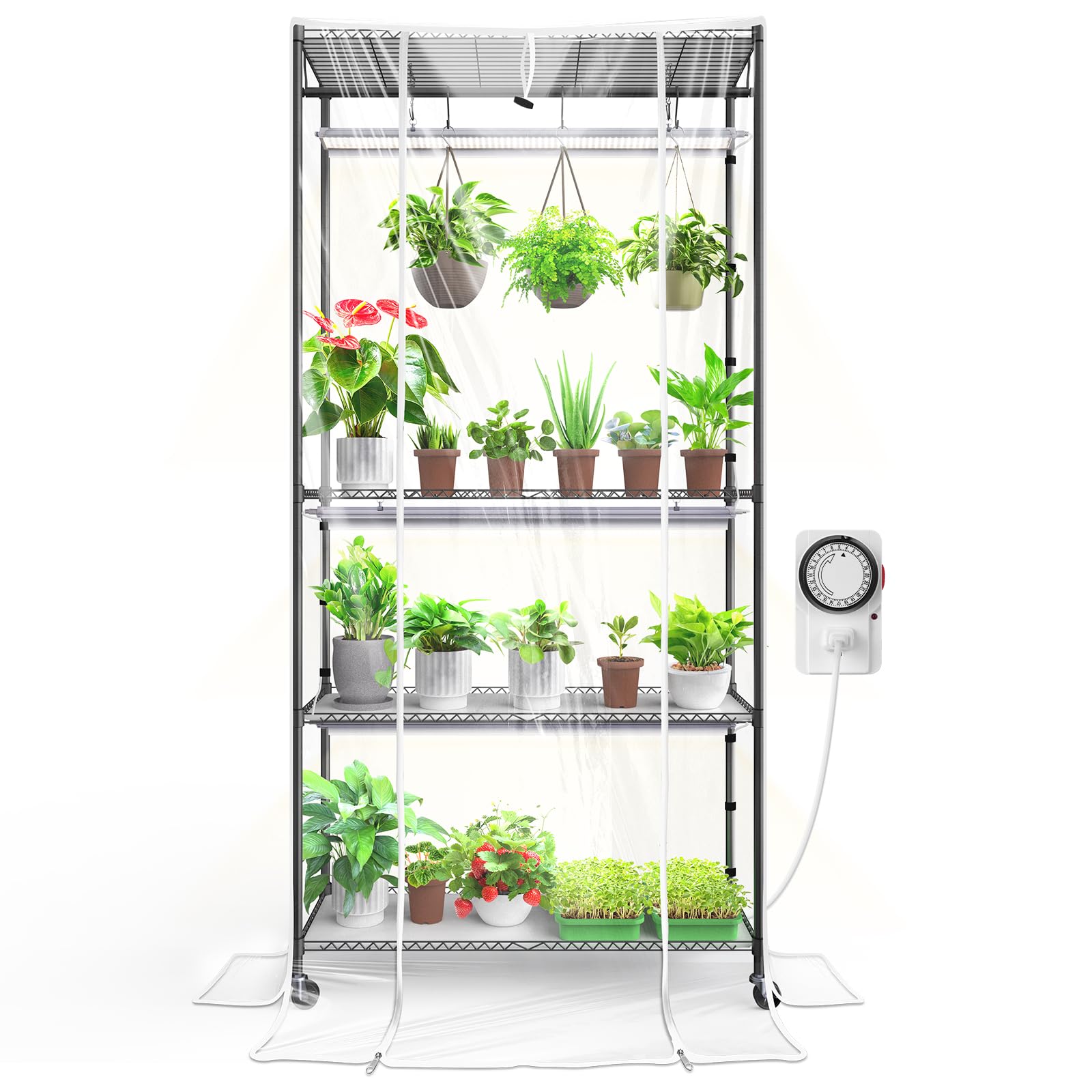 Barrina front view assembled greenhouse showing full setup and visibility benefits