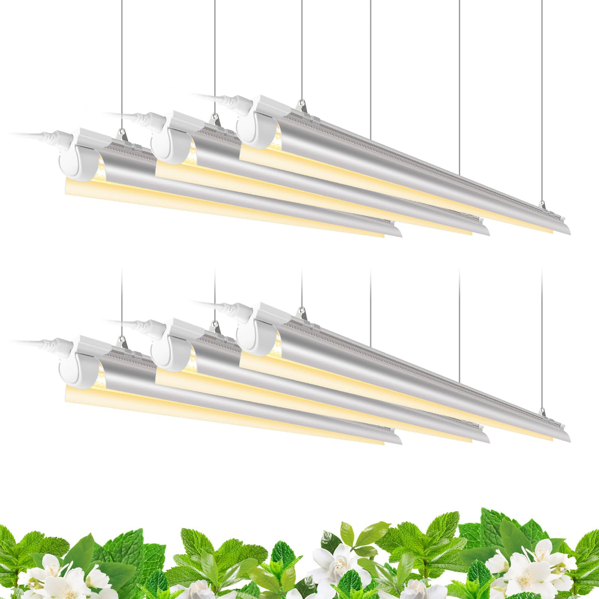 Barrina front view LED strip showing even full-spectrum coverage benefit