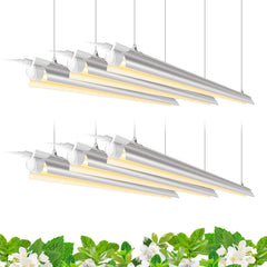 Barrina front view LED strip showing even full-spectrum coverage benefit