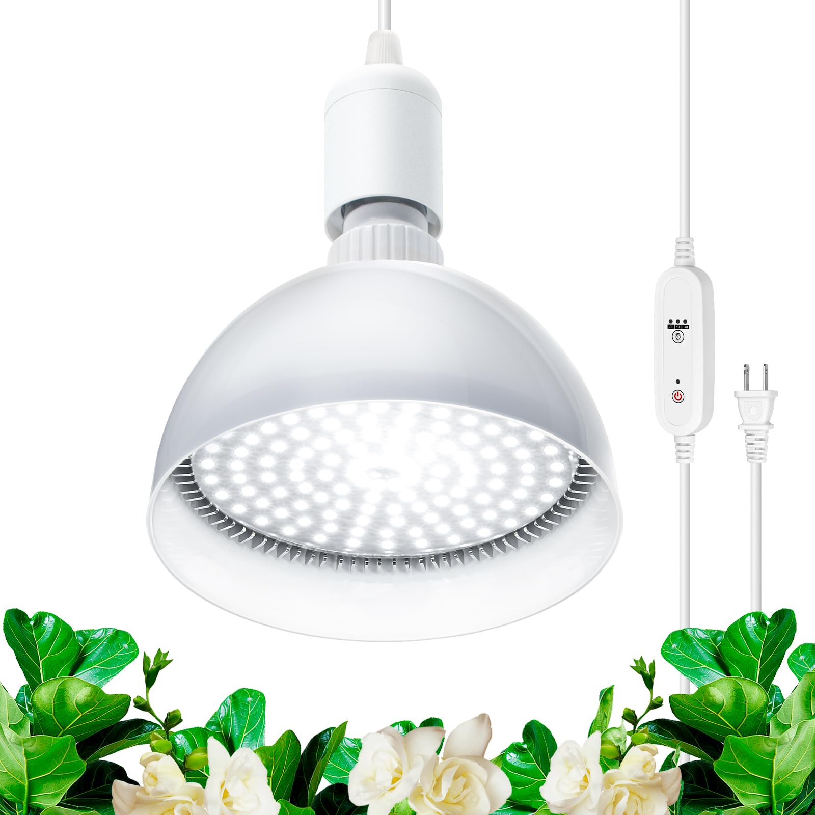 Barrina front view packaging showing bulb and benefits for small gardens