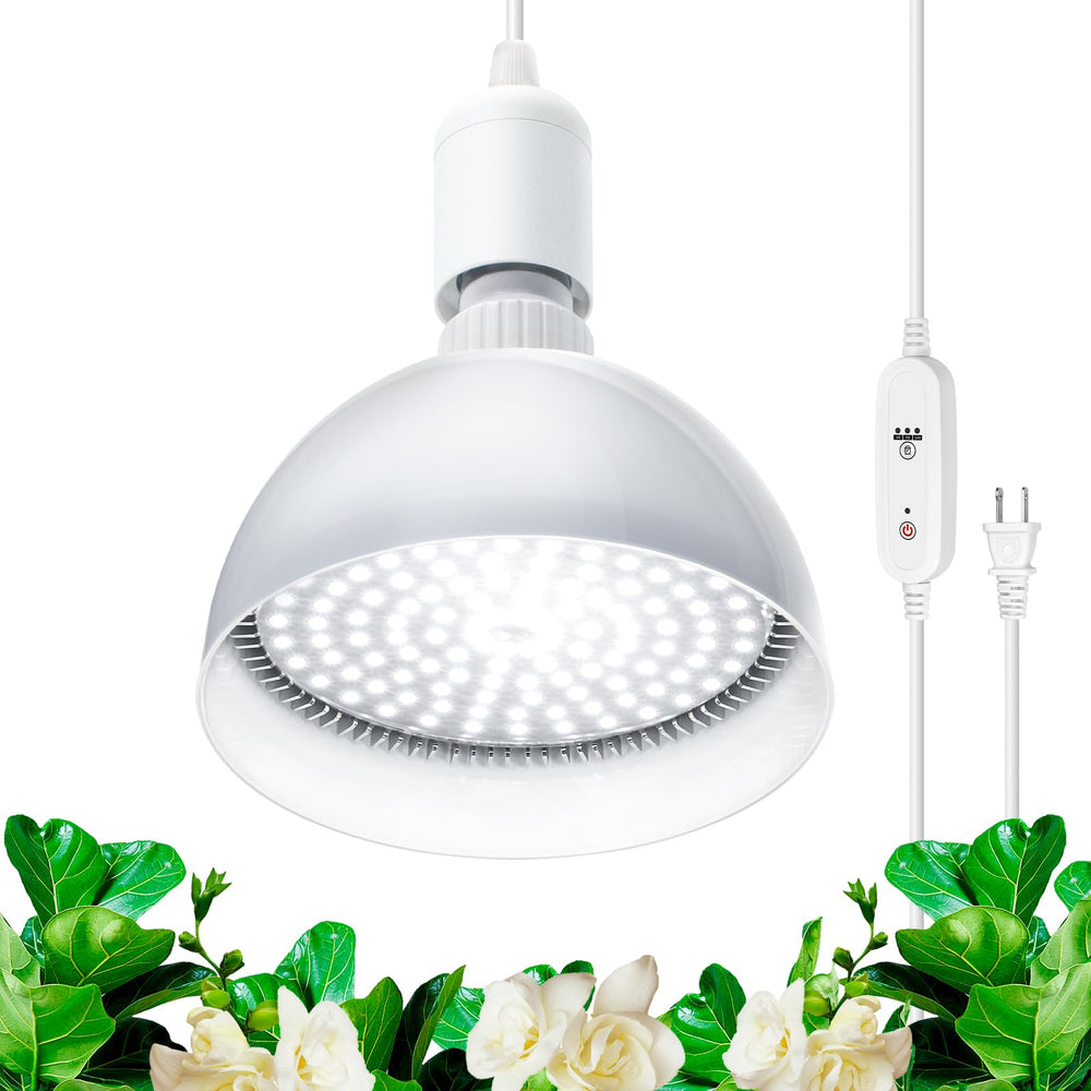 Barrina front view packaging showing bulb and benefits for small gardens
