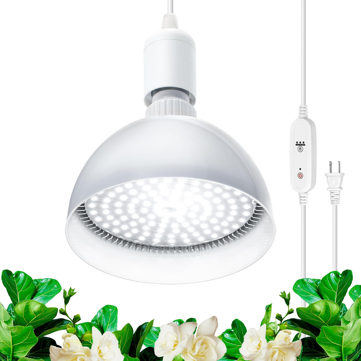 Barrina front view packaging showing bulb and benefits for small gardens