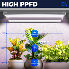 Barrina mounted grow tubes inside a tent providing even coverage for plants