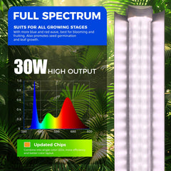 Barrina installed in grow tent delivering even canopy illumination