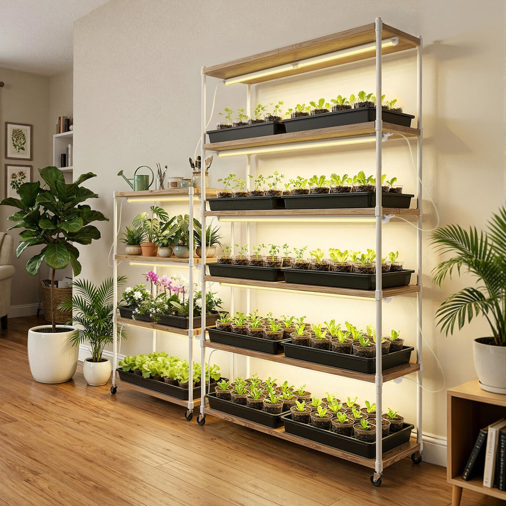 Barrina in a kitchen hydroponic setup demonstrating compact, attractive lighting