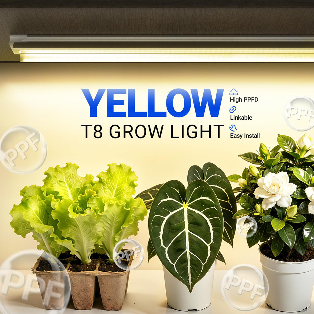 Barrina closeup of LED array highlighting high PPFD for stronger growth