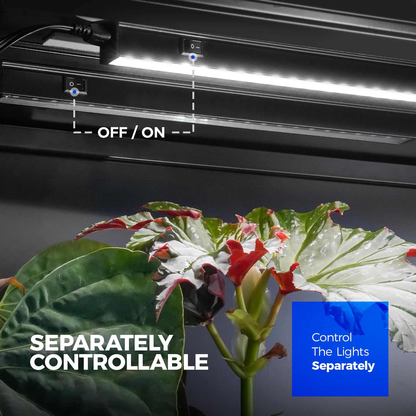Barrina linked fixtures in series illustrating scalable coverage across racks
