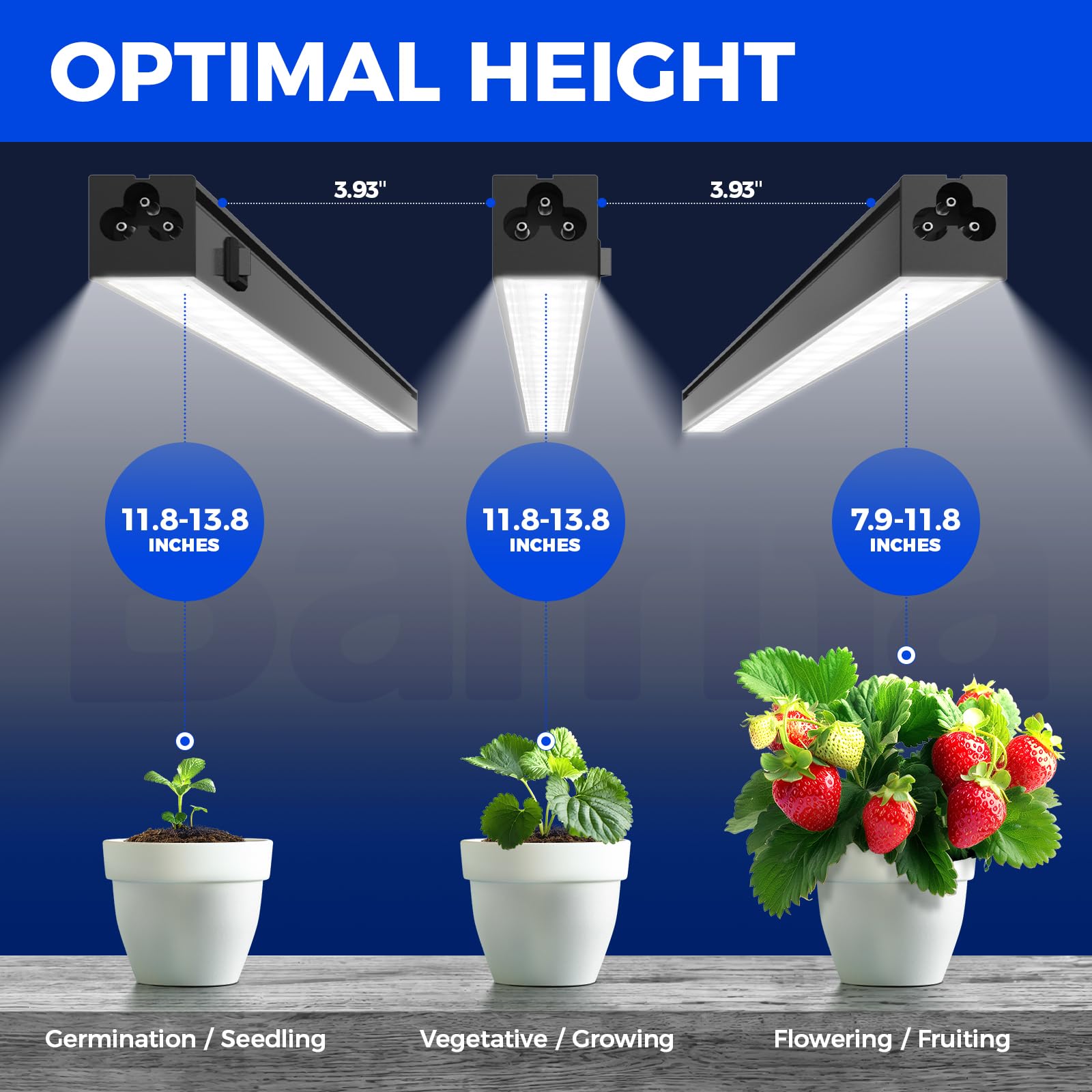 Barrina linked series of lights on shelving illuminating multiple plant tiers for even coverage