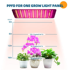 Barrina panels illuminating a plant shelf demonstrating stronger growth and uniform light