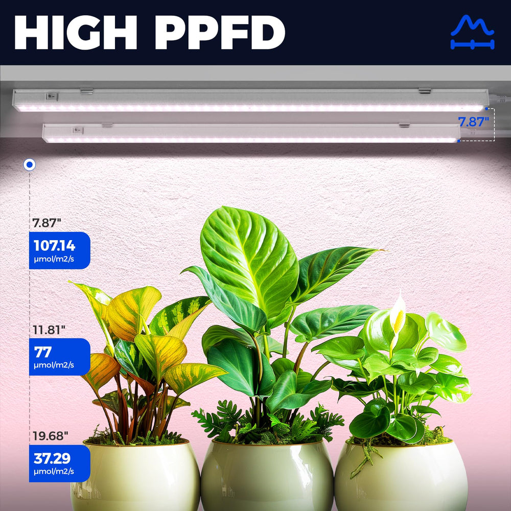 Barrina mounted on a grow shelf illuminating multiple tiers to boost indoor plant growth