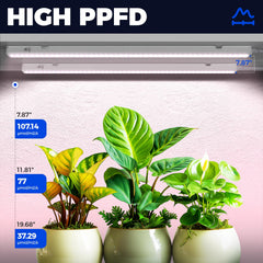 Barrina mounted on a grow shelf illuminating multiple tiers to boost indoor plant growth