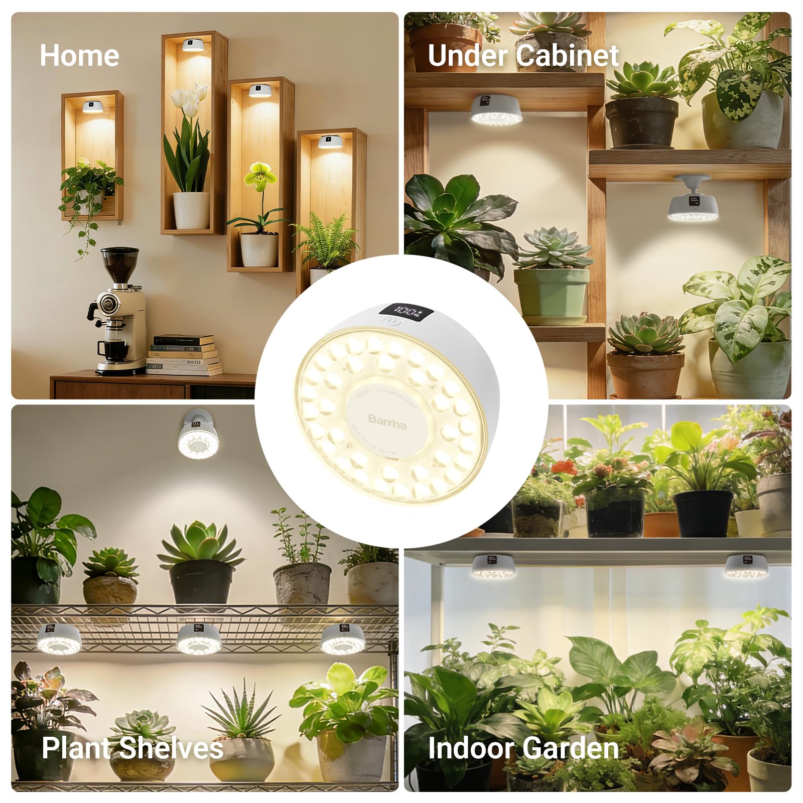 Barrina OG03C lighting a tabletop plant scene to enhance foliage color and growth