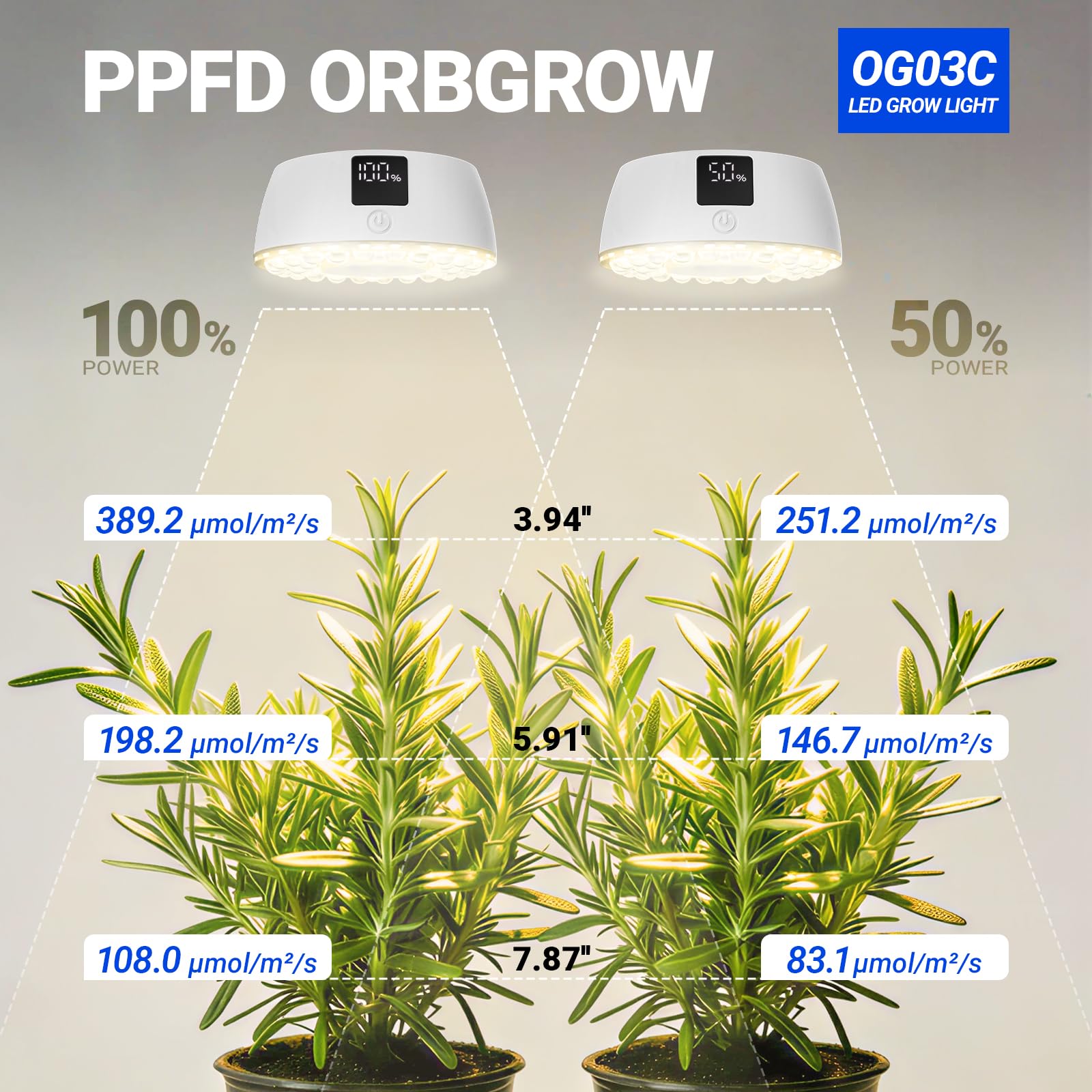 Barrina OG03C wall mount rotated and tilted for directional coverage and precise angling