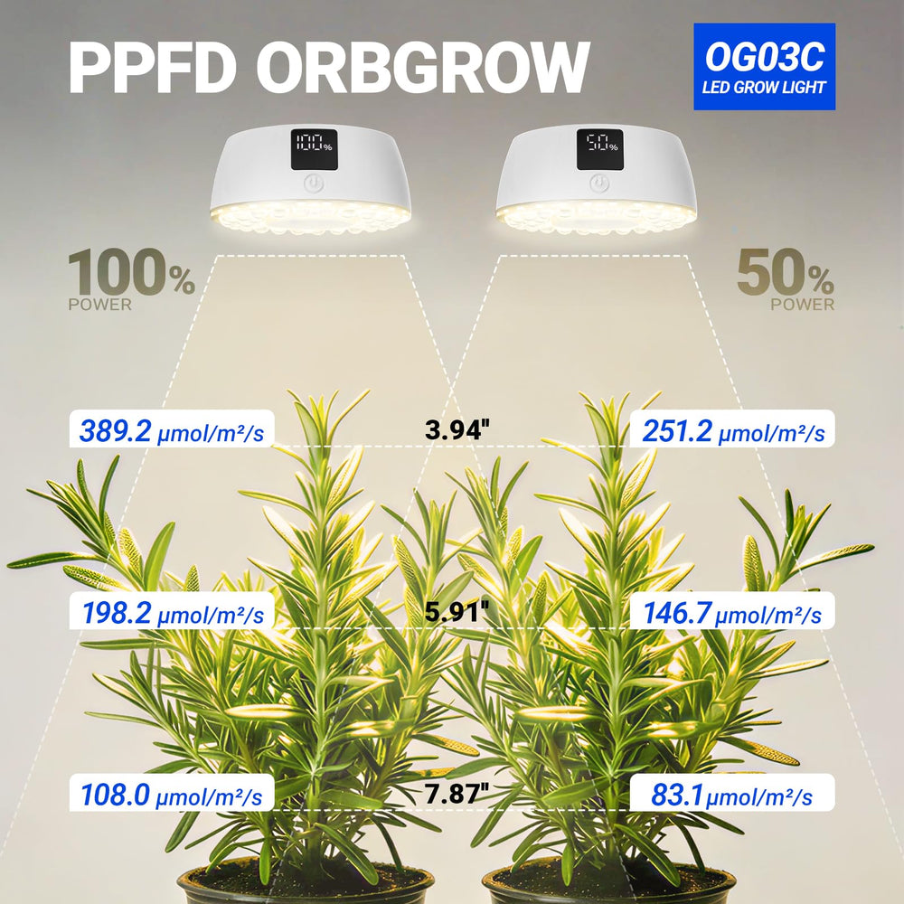 Barrina OG03C wall mount rotated and tilted for directional coverage and precise angling