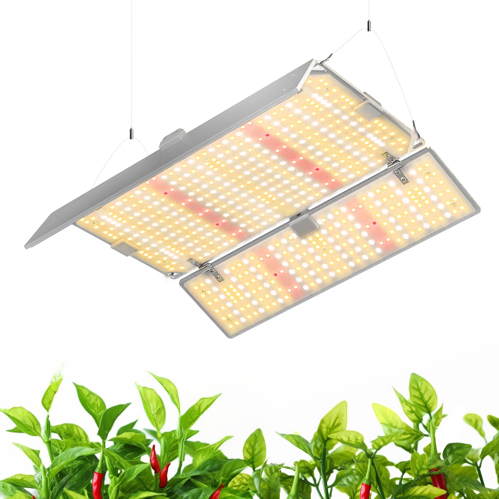 Barrina panel front view showing full-spectrum LEDs and even coverage benefit