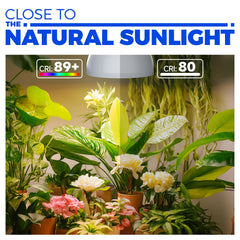 Barrina pendant light in use over tall indoor plants providing even full-spectrum light