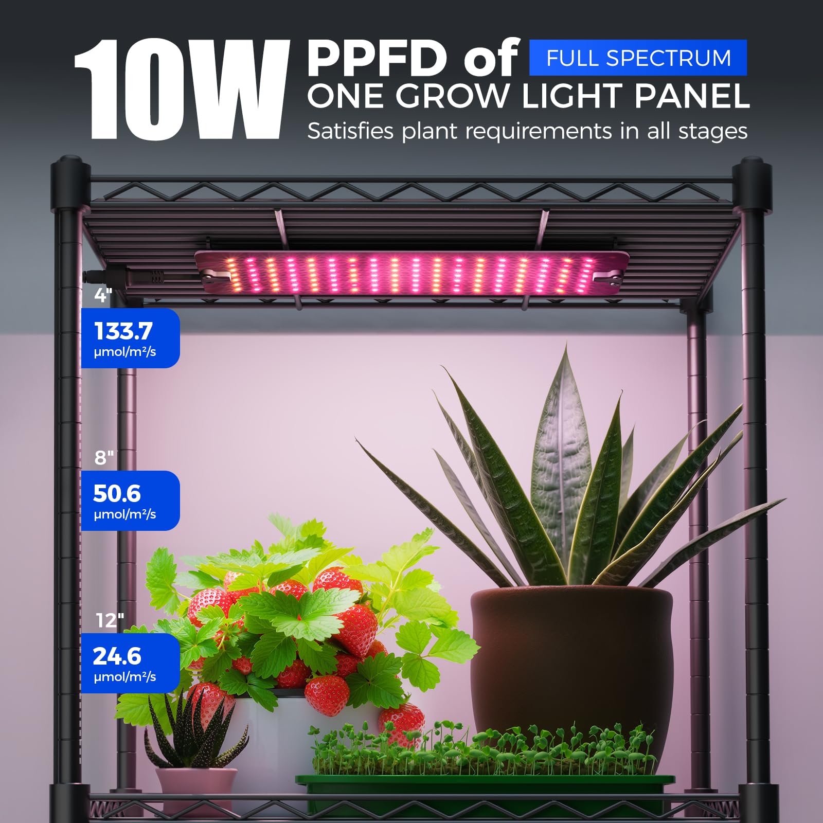 Barrina PP waterproof pad under shelf protecting grow lights from water damage