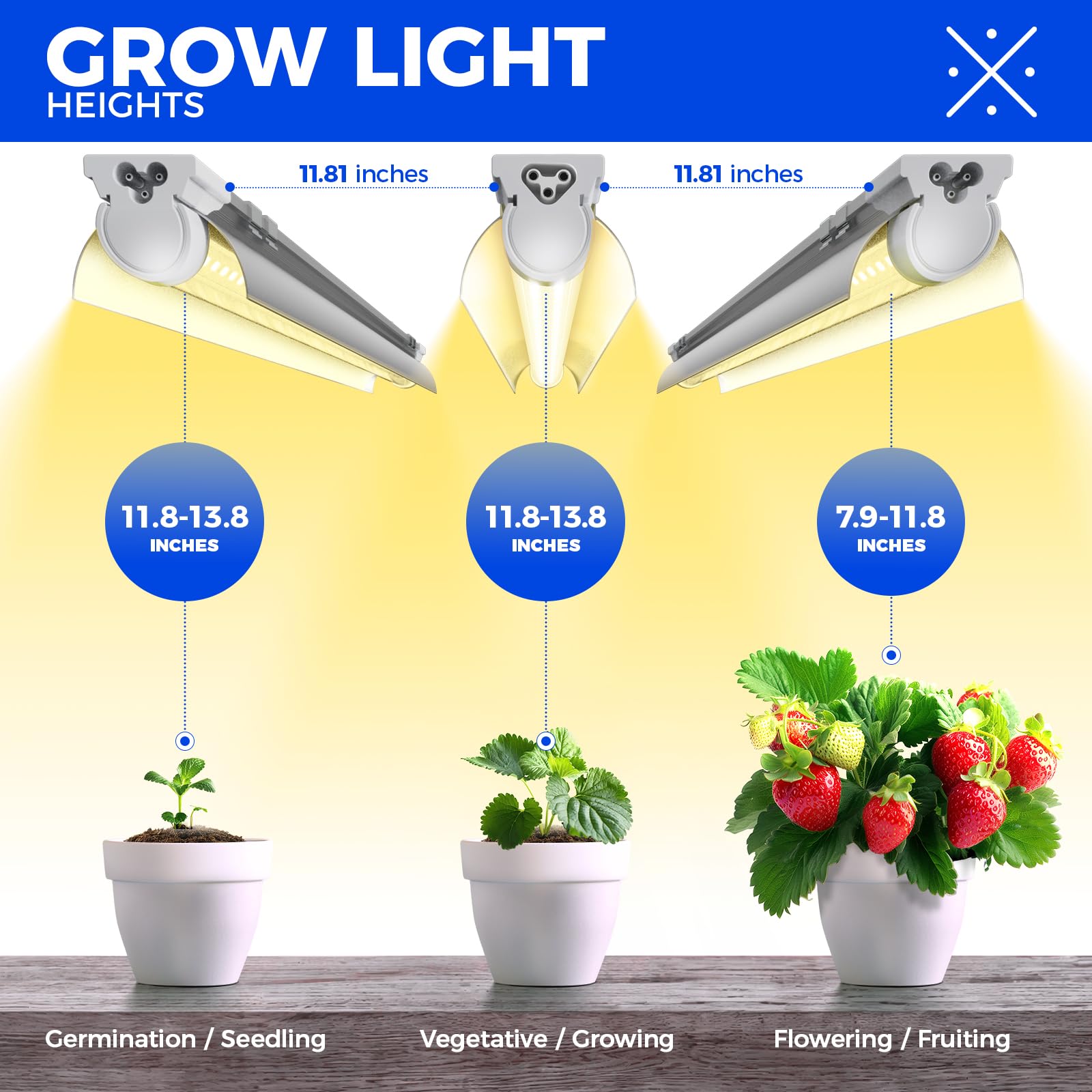 Barrina lighting seedlings in a tent accelerating early-stage development