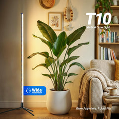 Barrina close-up of side lighting T10 tube highlighting broad lateral illumination benefit
