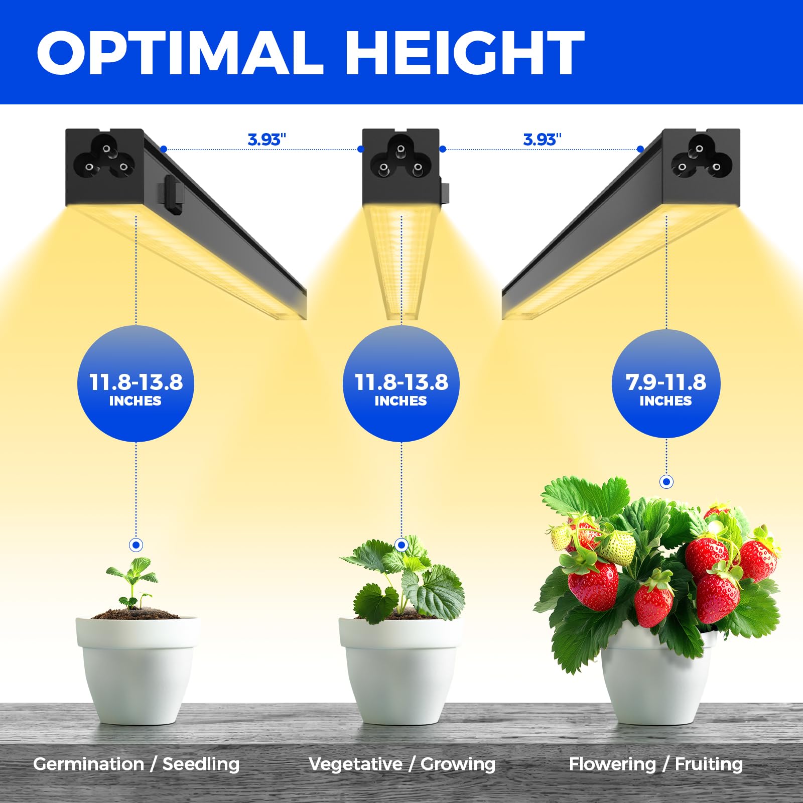Barrina scale with hands demonstrating compact 1ft size for small spaces