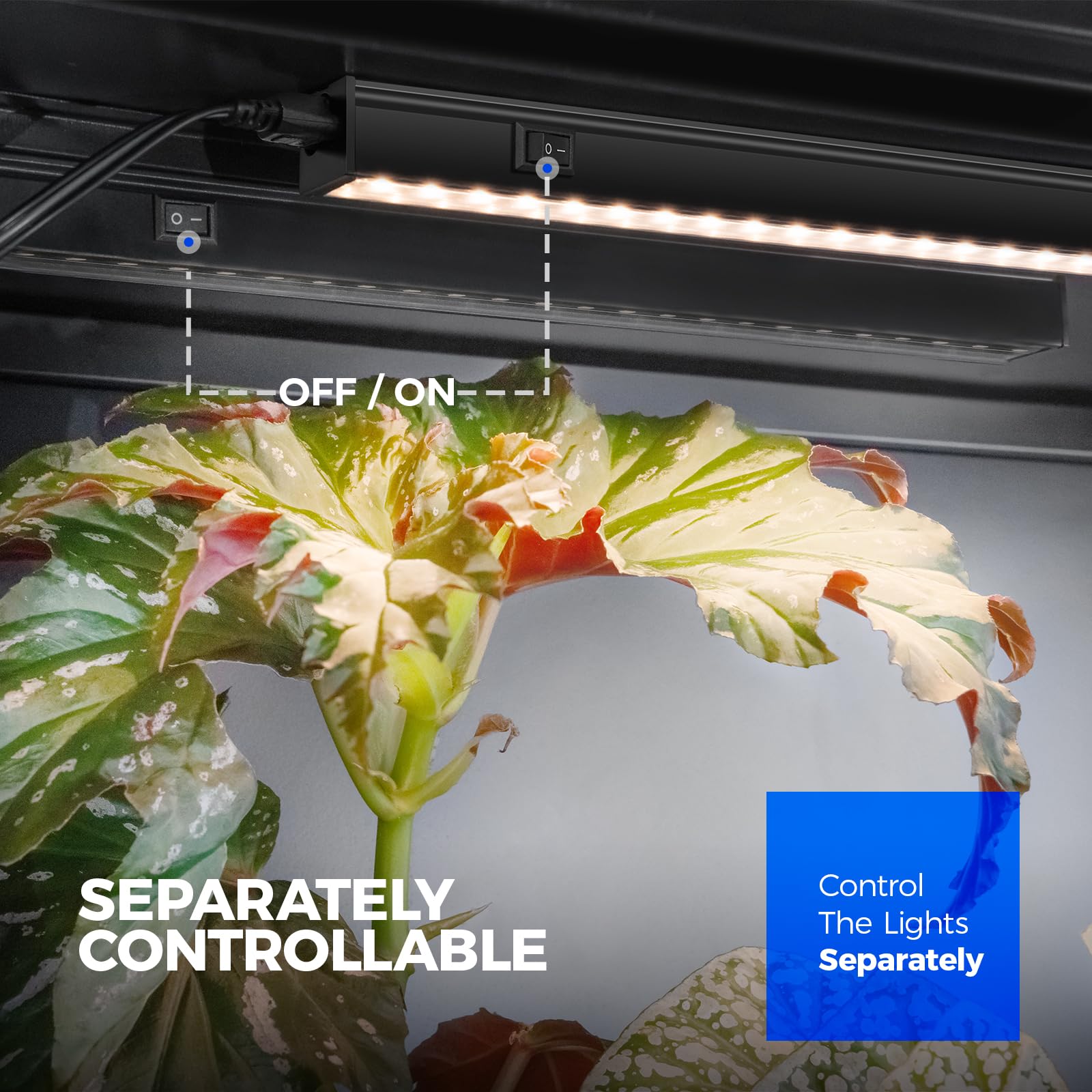 Barrina switch and cord showing on/off control for zone-specific plant lighting