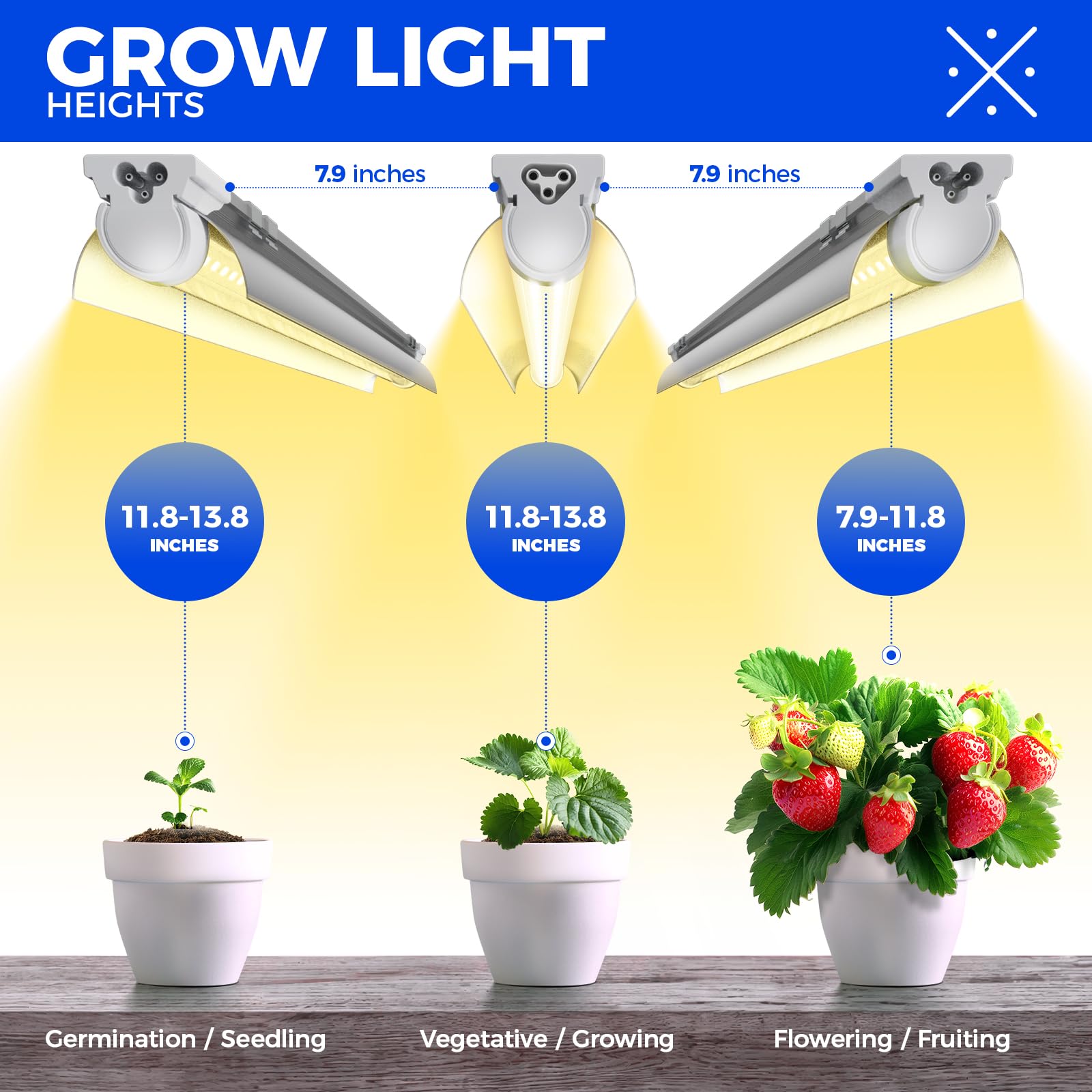 Barrina illuminating seedlings to encourage uniform early growth