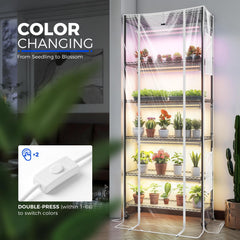 Barrina transparent EVA cover closed retaining humidity for seedlings