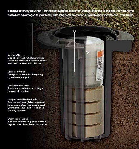 BASF Advance TBS installed in soil near foundation showing detection placement benefit