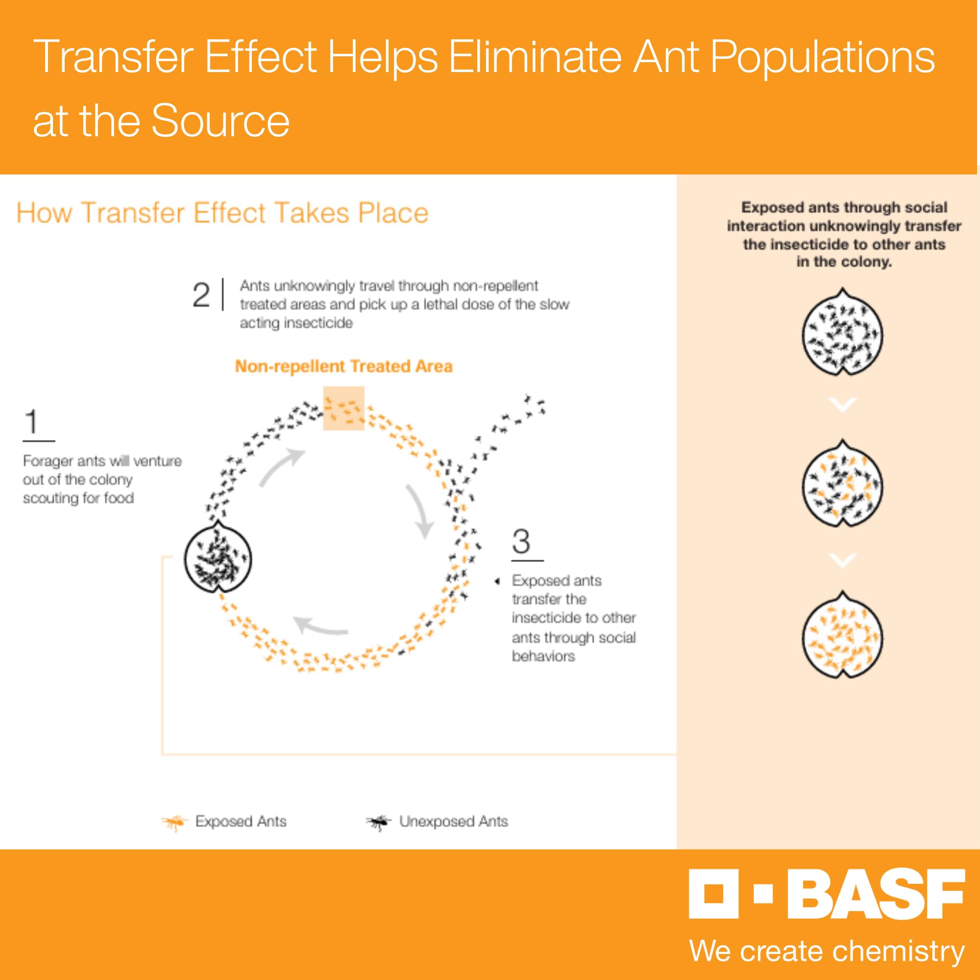 BASF Alpine WSG mixed clear spray in sprayer demonstrating easy application benefit