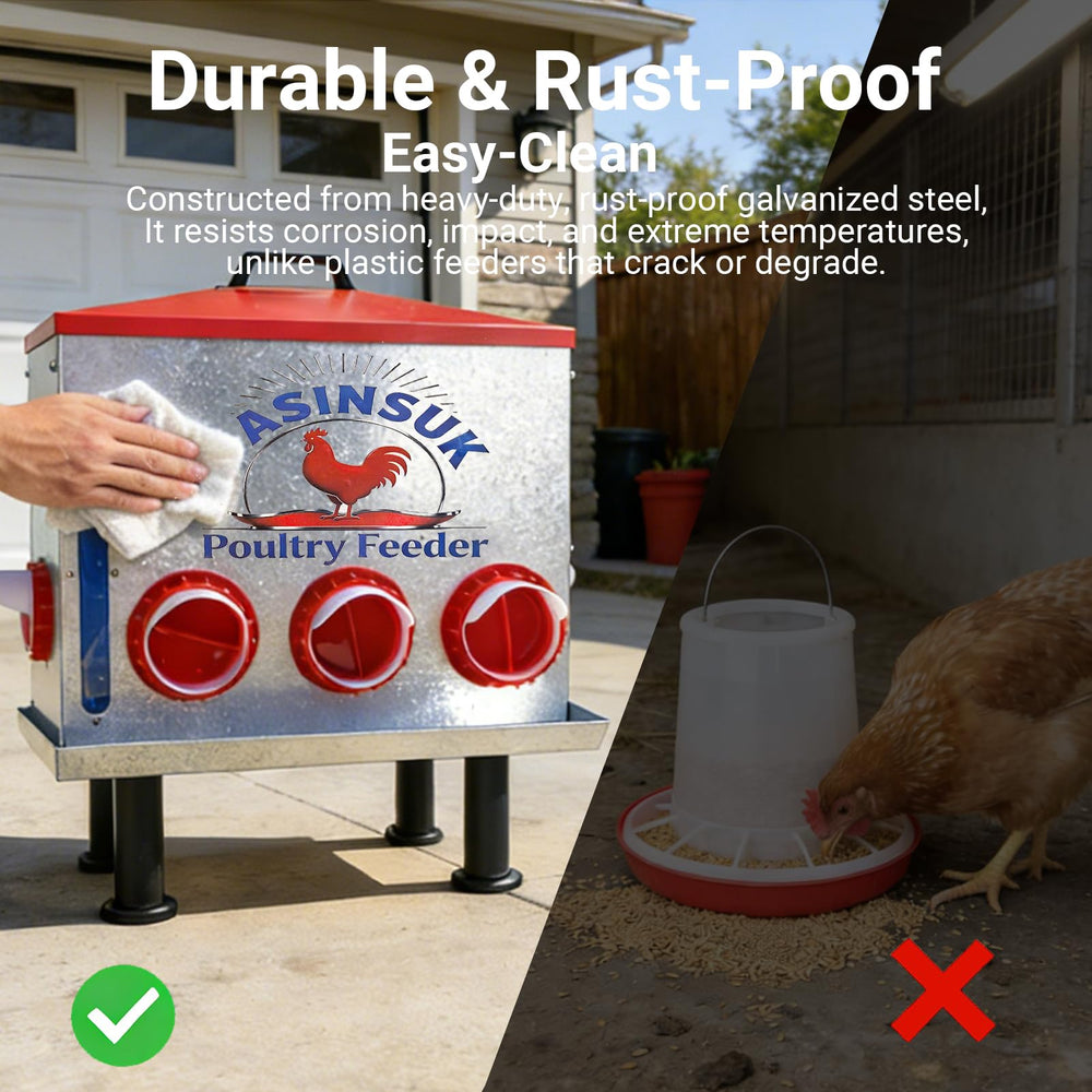 BASINSUK feeder inside coop with chickens using ports showing organized, low-waste feeding